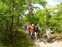 2014-06-05 10-50-27 Foret de Fontainebleau FGn